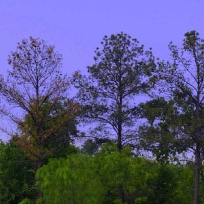 1788网投手机app下载