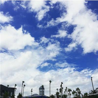 半岛彩票下载手机版